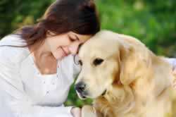 How To Start A Doggy Day Care
